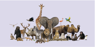 Imagen de un gran grupo de diferentes animales salvajes del mundo posando juntos sobre un fondo púrpura.