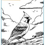 PARA COLOREAR - EL CARDENAL AMARILLO