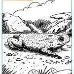 PARA COLOREAR – EL SAPITO DE DARWIN